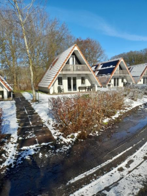 t'Hoog Holt